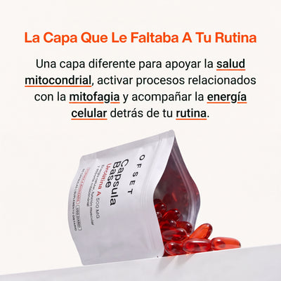 Capsula base
