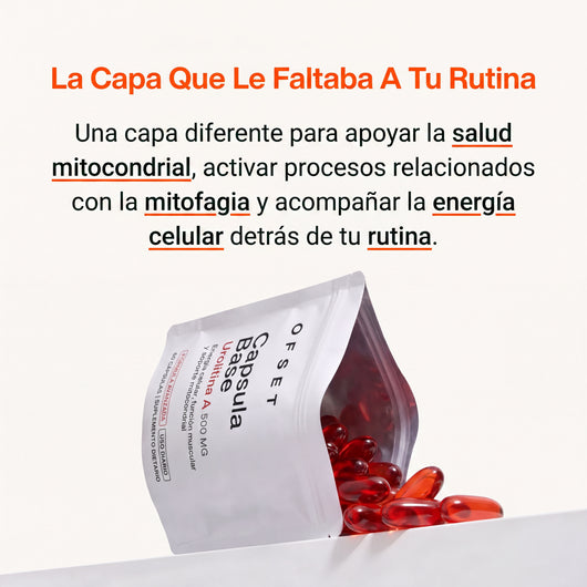 Capsula base